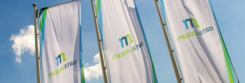 Meierijstadbanieren2