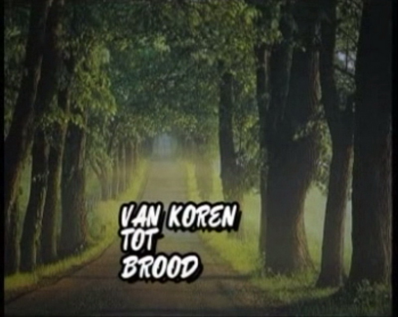 Van koren tot molen