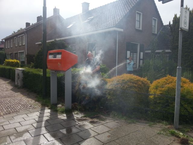 BRAND
