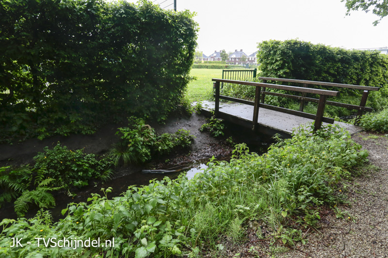 02slootratten20160523