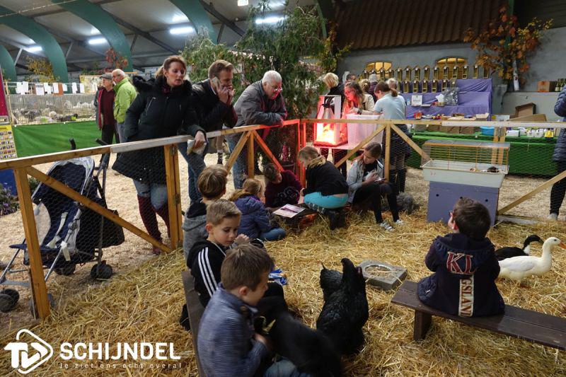 dierenshow2