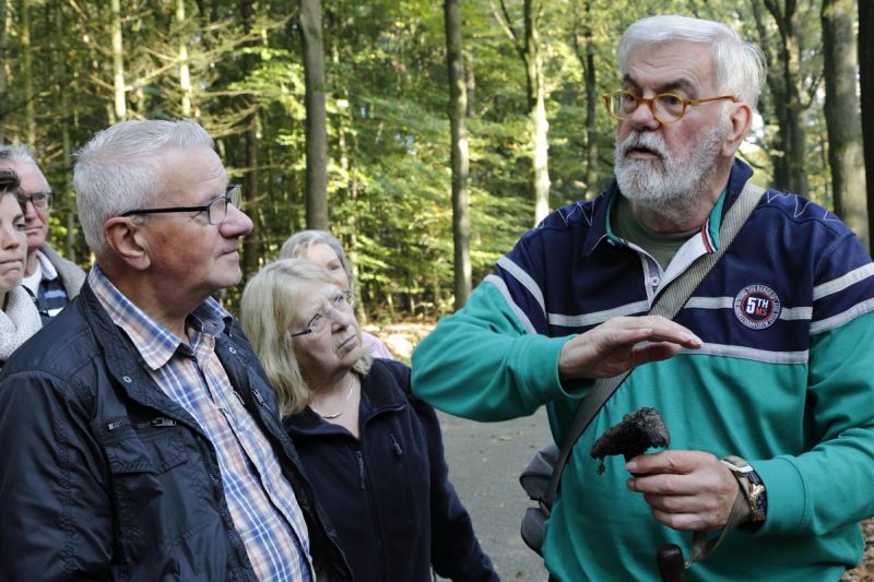 herfstwandeling2