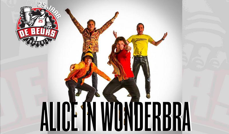 TdBaliceinwonderbra