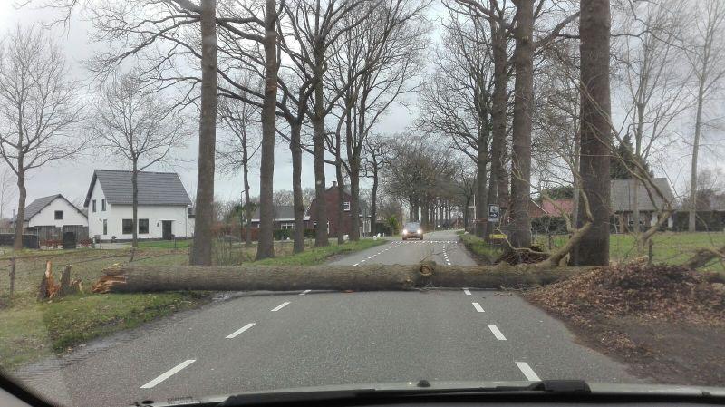 storm2