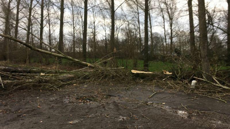 storm9