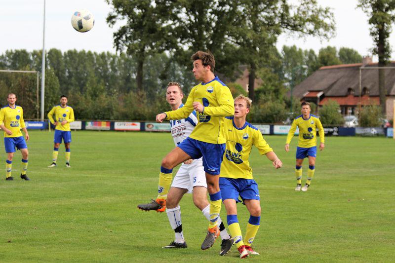 Schijndeldwit11