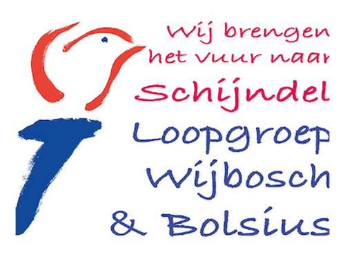 Bevrijdingsvuurnaarschijndel2019