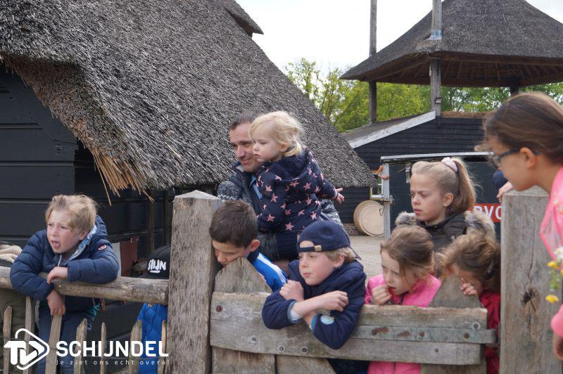 schaapscheren3