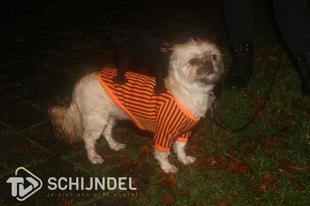 bloemenwijkhalloween 5