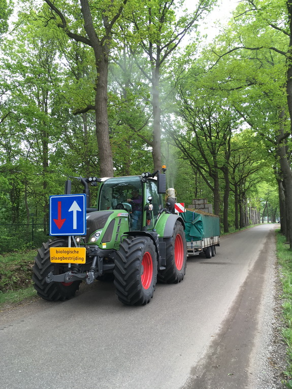 preventiefspuiten 2019 gemmeierijstad