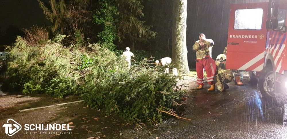 dennisstormschade7