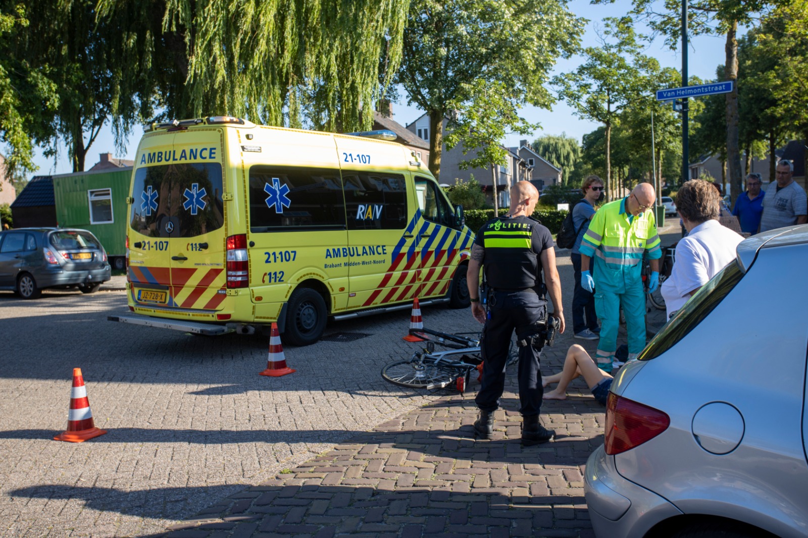 schutsboom1