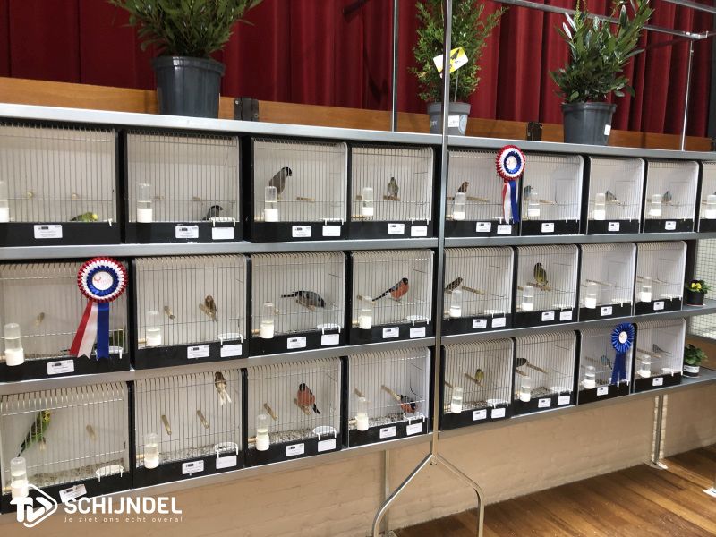 artikelvogels 2