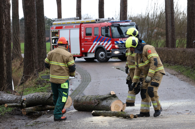 boombaksdijk2