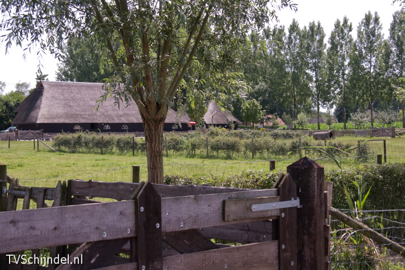 schaapskooi3